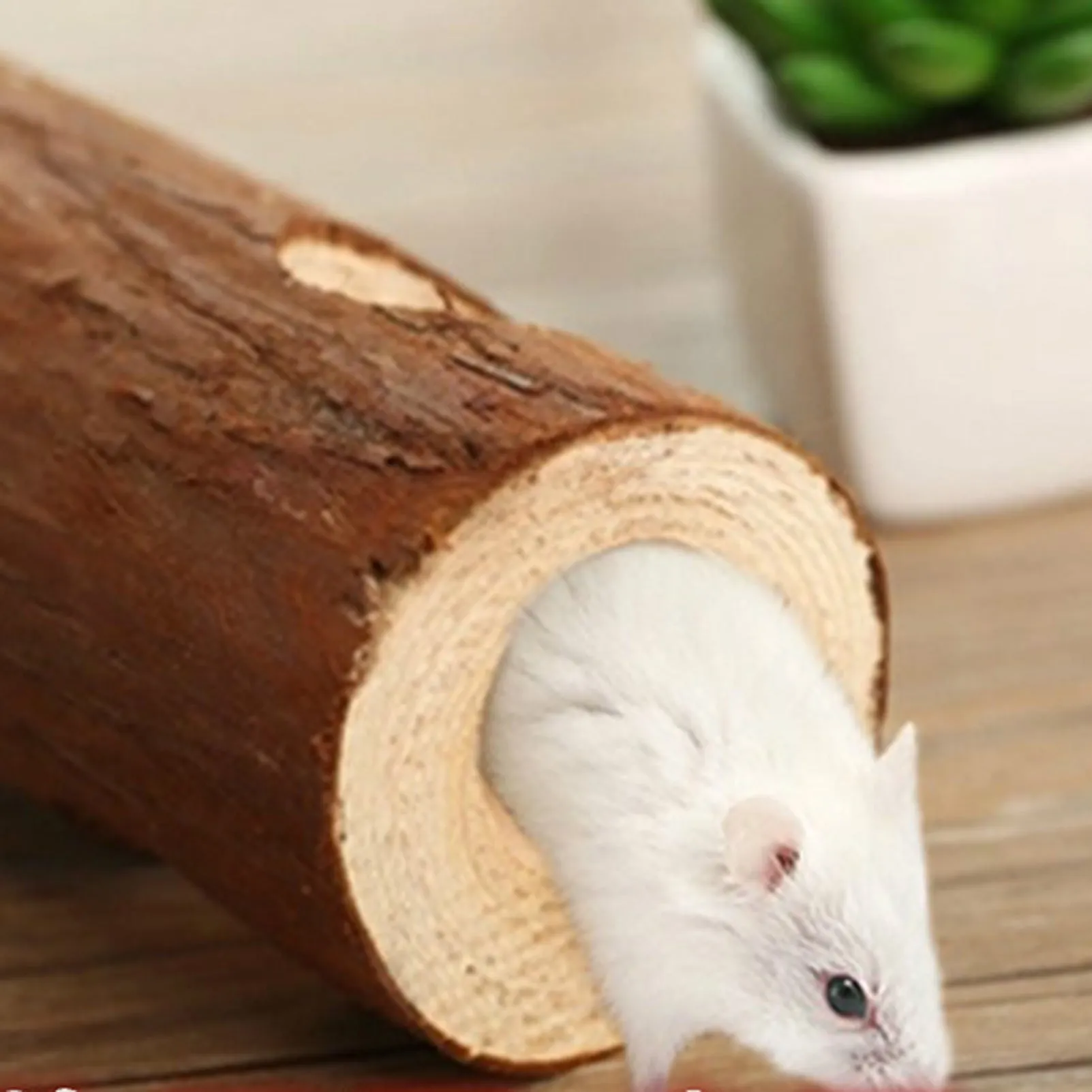 11 Pack Hamster Chew Toys Set Small Animal Molar Play Toys