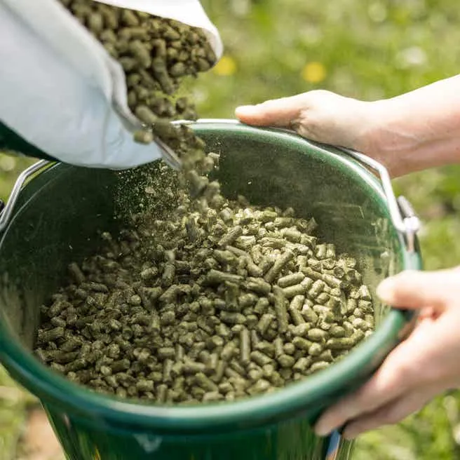 Certified Timothy Pellets