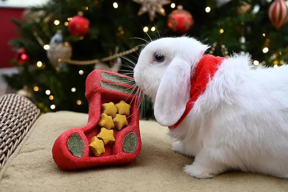 Christmas Stocking Puzzle | Festive Small Pet Chew Toy by Cupid & Comet