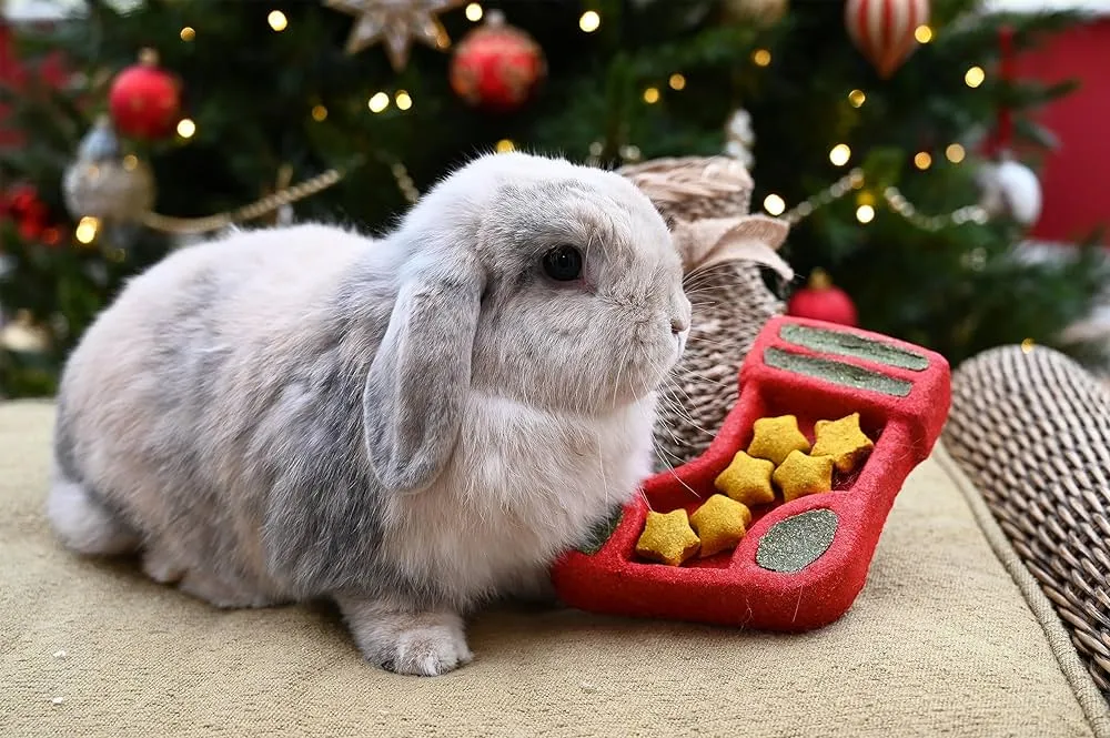 Christmas Stocking Puzzle | Festive Small Pet Chew Toy by Cupid & Comet