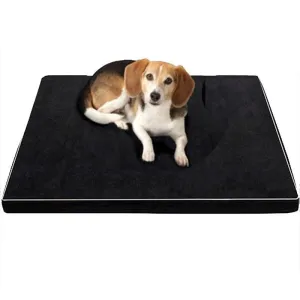 Comfy Dog Mattress Bed