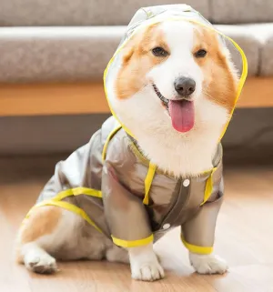 Corgi raincoat protects belly puppies special waterproof clothes