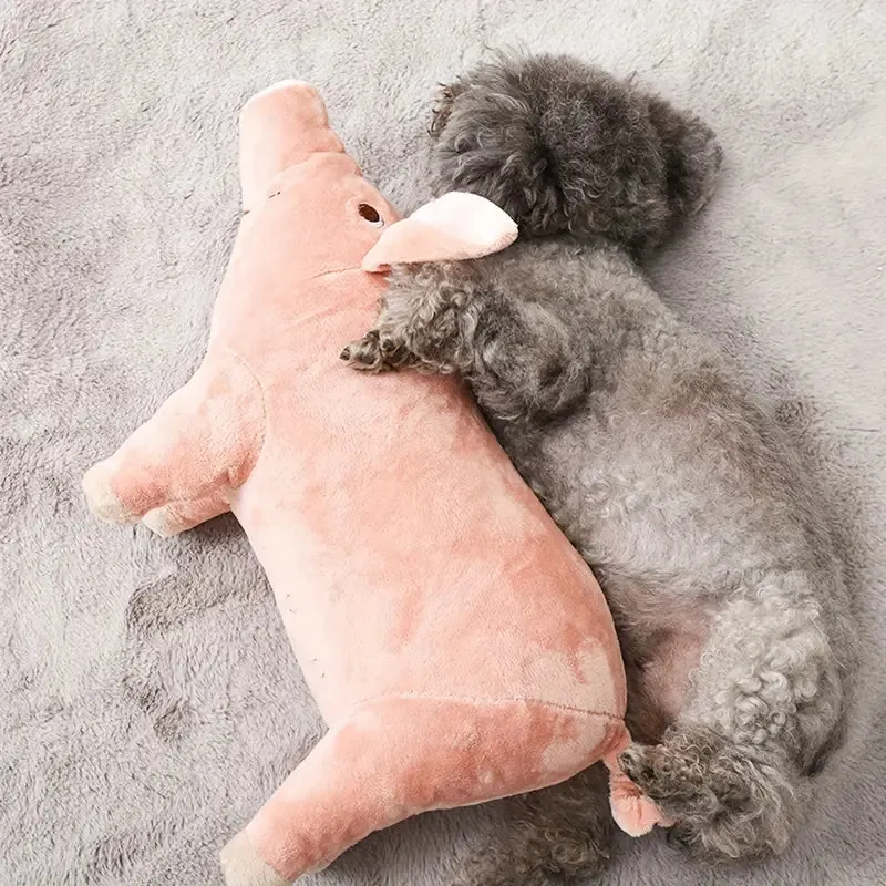 Cuddle Buddy Plush Pig Dog SQUEAKY Toy