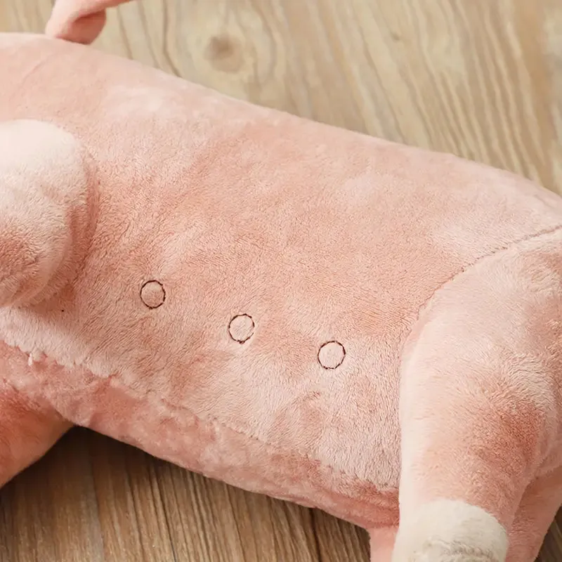 Cuddle Buddy Plush Pig Dog SQUEAKY Toy