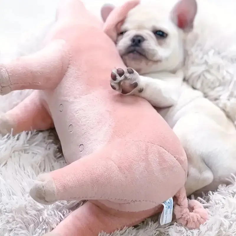 Cuddle Buddy Plush Pig Dog SQUEAKY Toy
