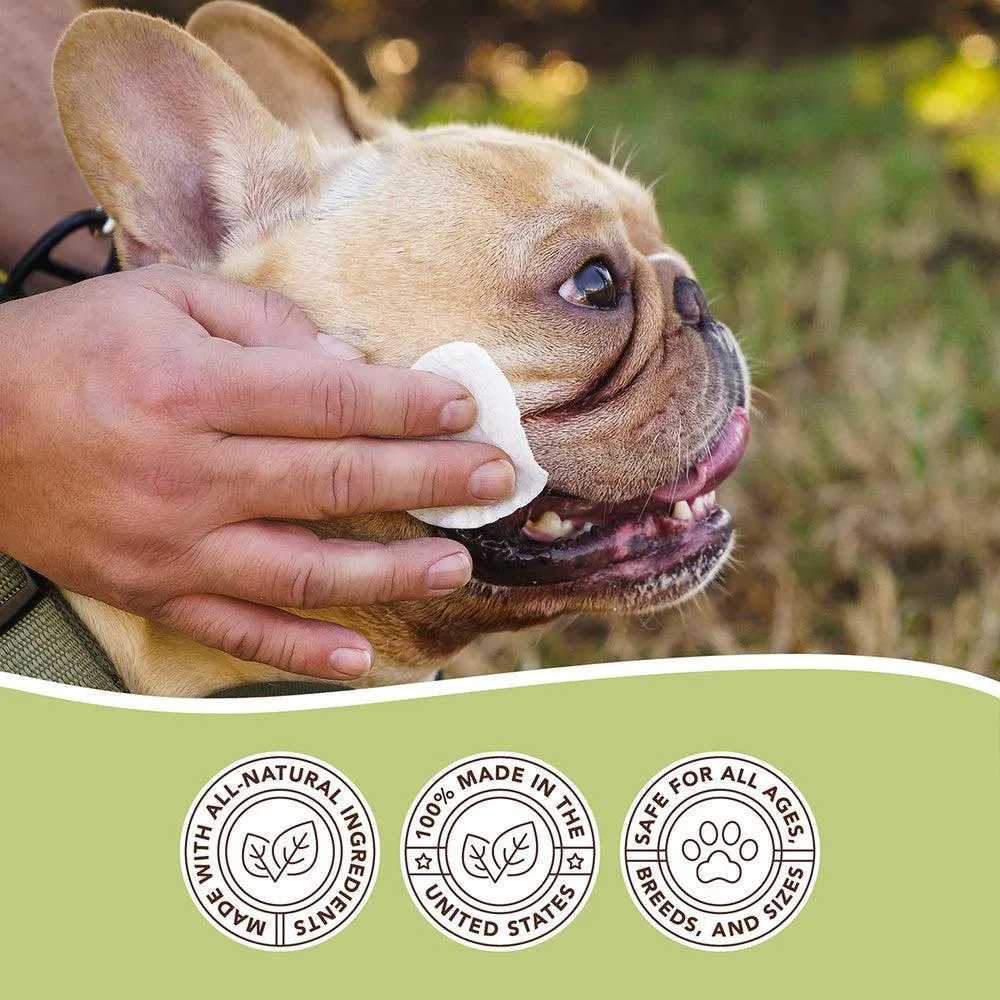 Dog Balms
