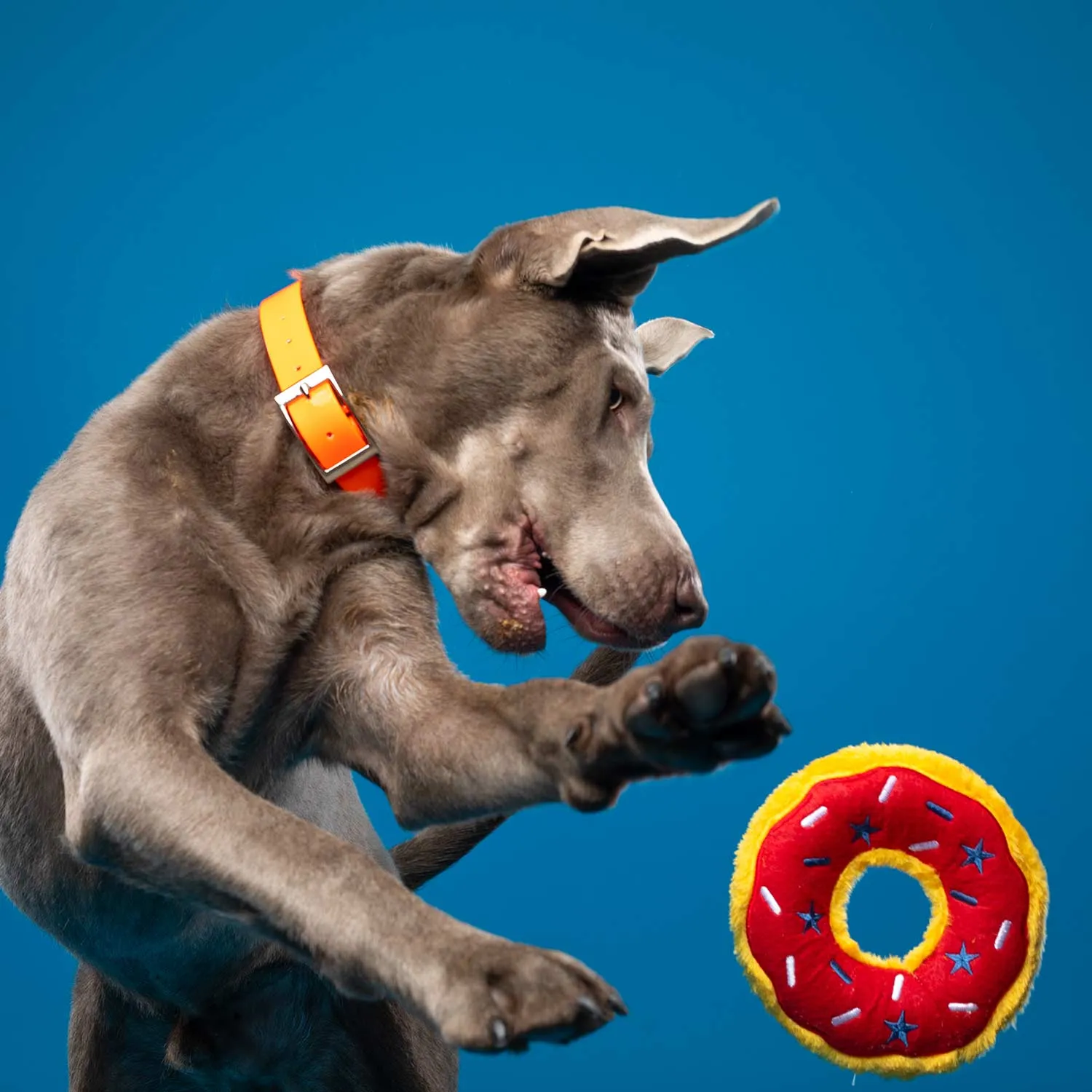 Donutz, Americana