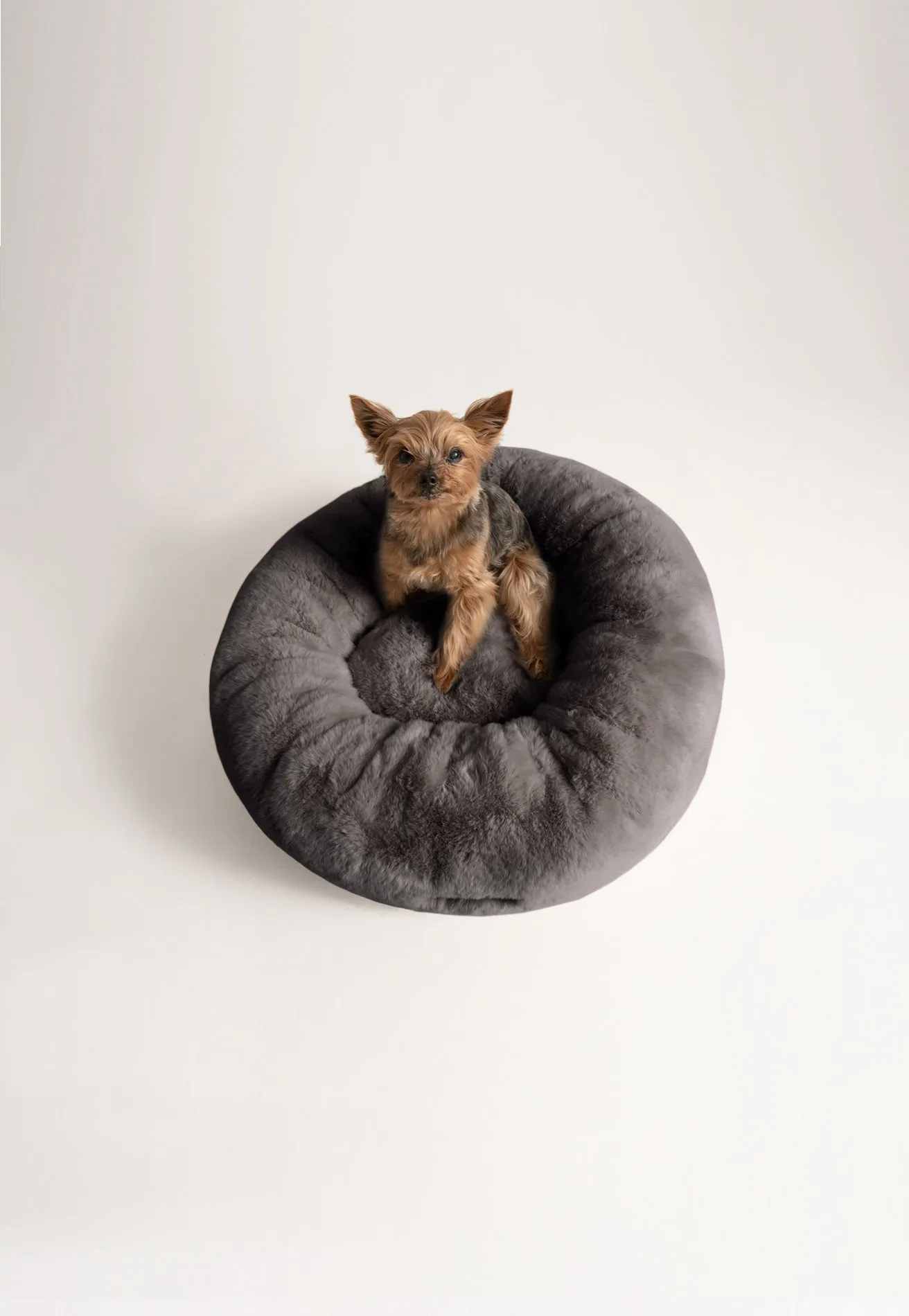 Floof Donut Pet Bed