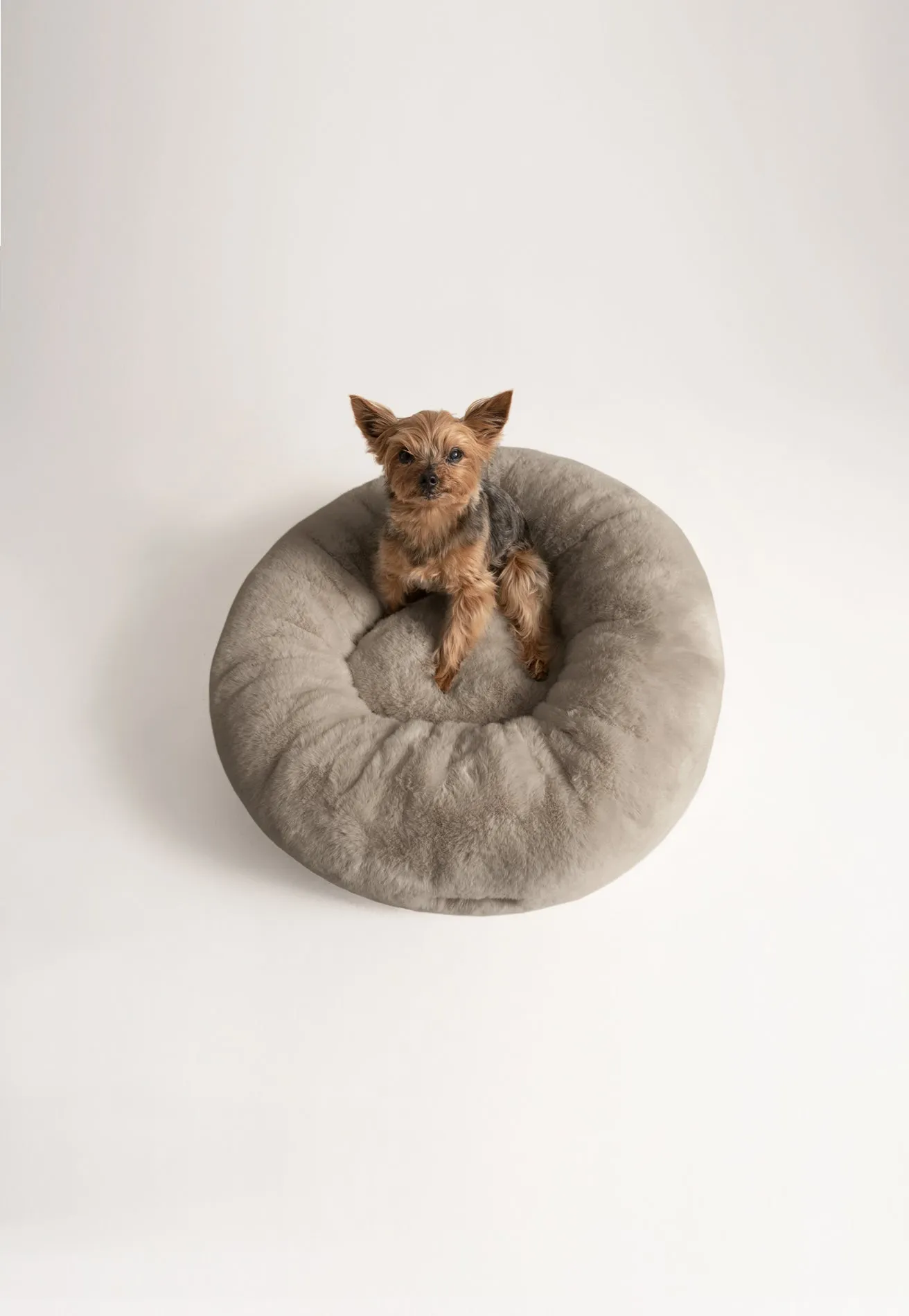 Floof Donut Pet Bed