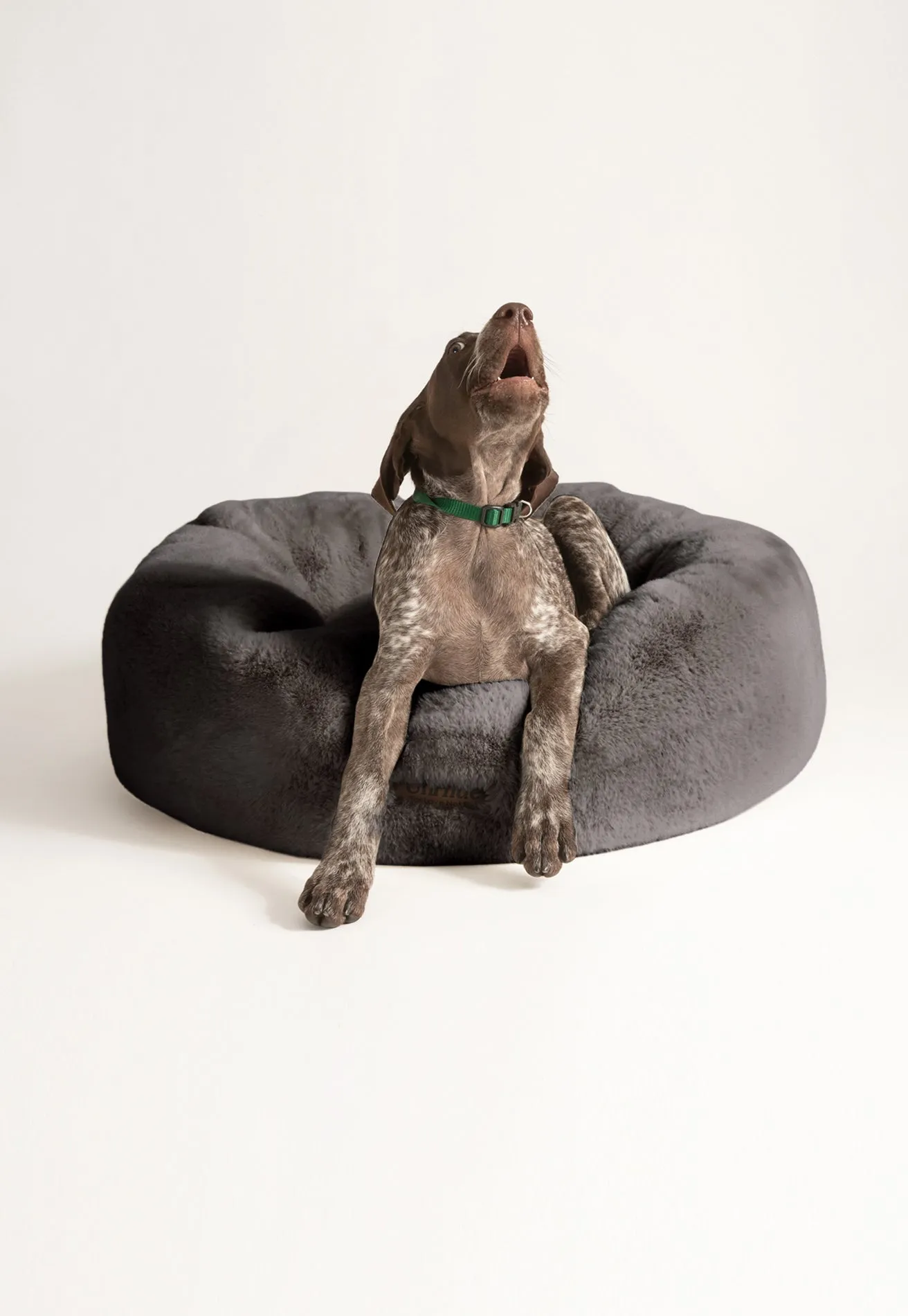 Floof Donut Pet Bed