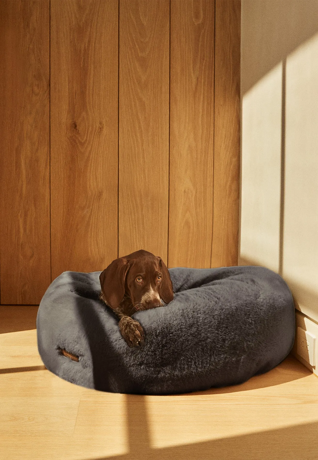 Floof Donut Pet Bed