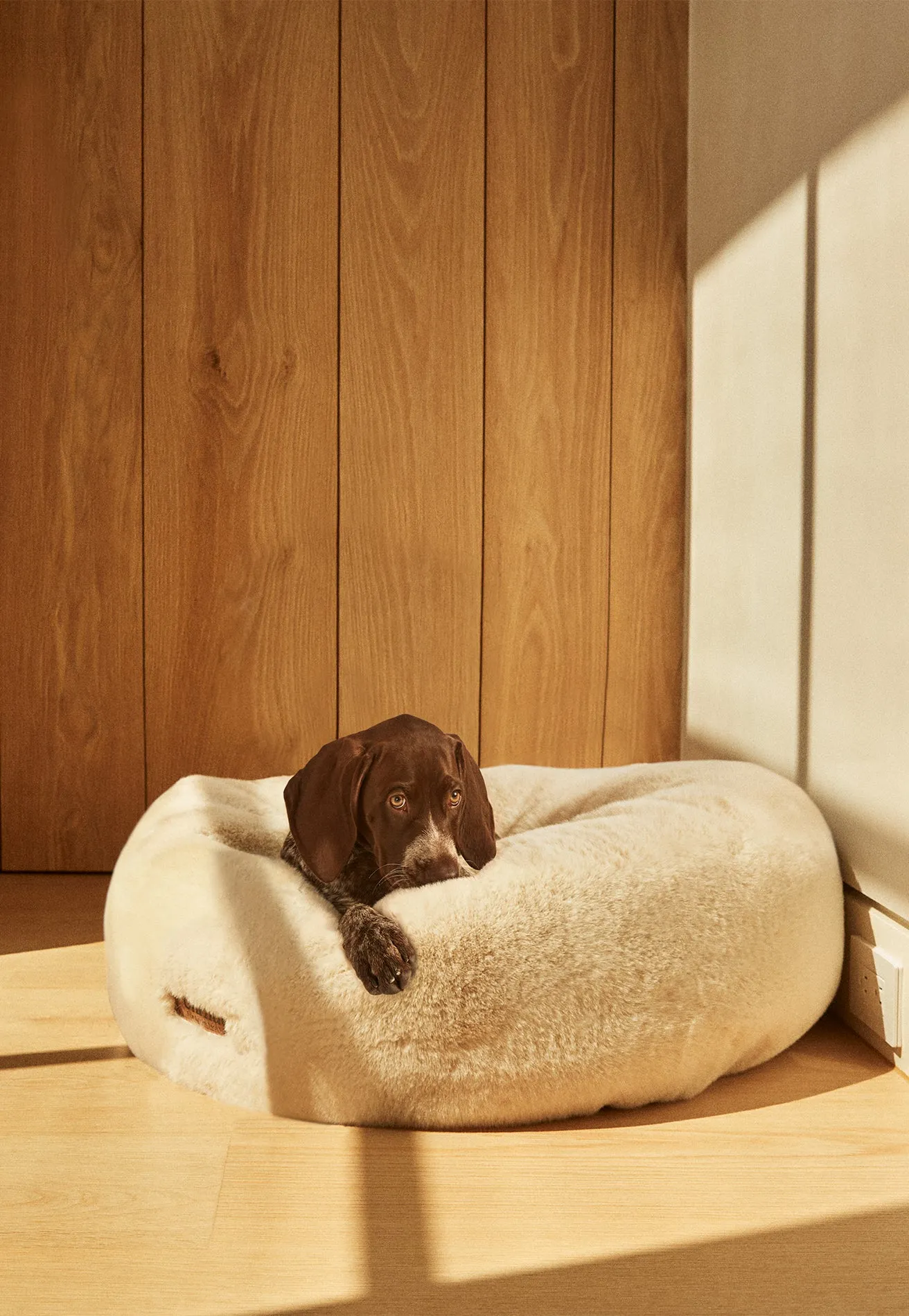 Floof Donut Pet Bed