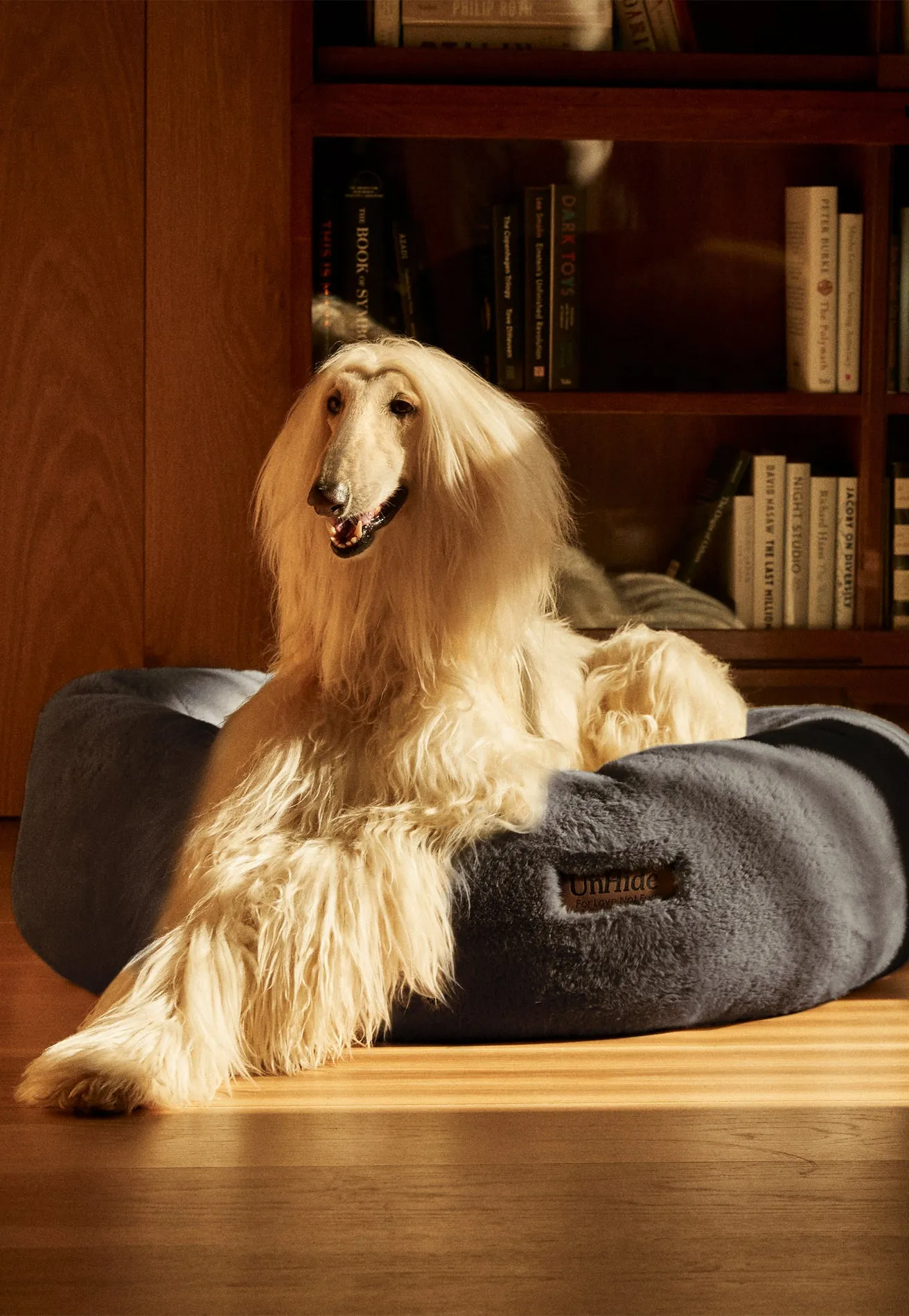 Floof Donut Pet Bed