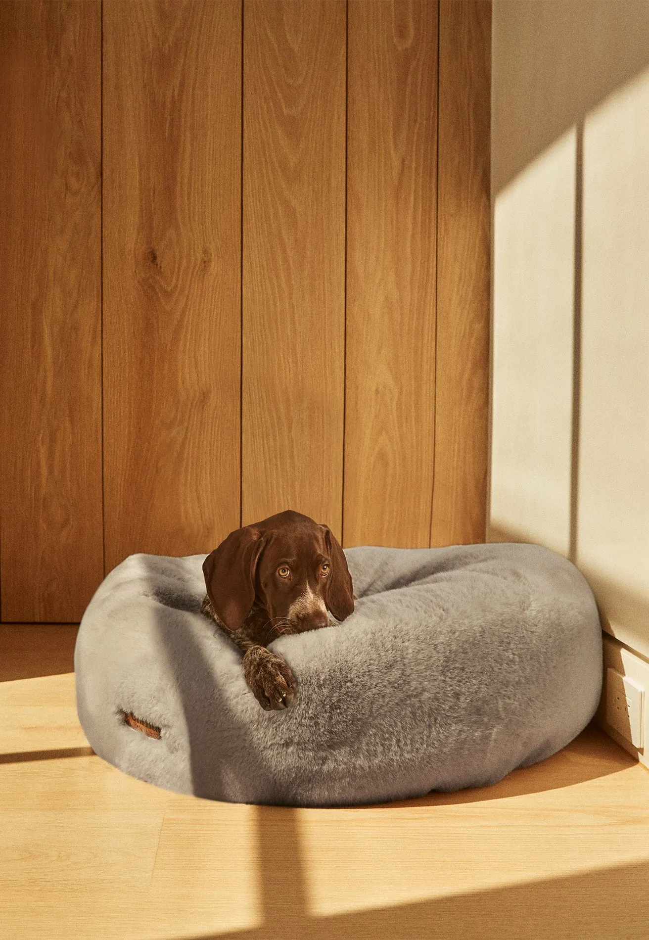 Floof Donut Pet Bed