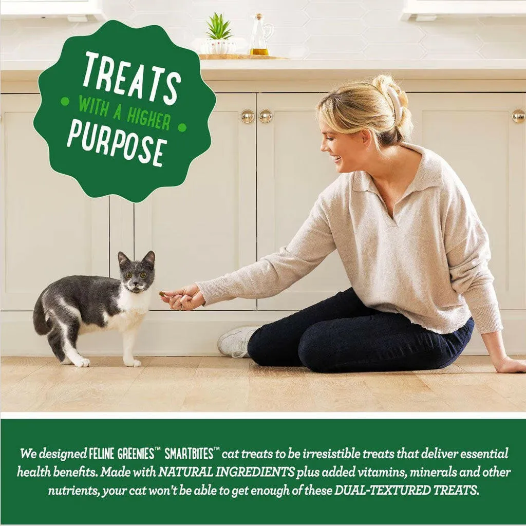 Greenies Feline SmartBites Skin & Fur Chicken Flavor Cat Treats, 2.1-oz