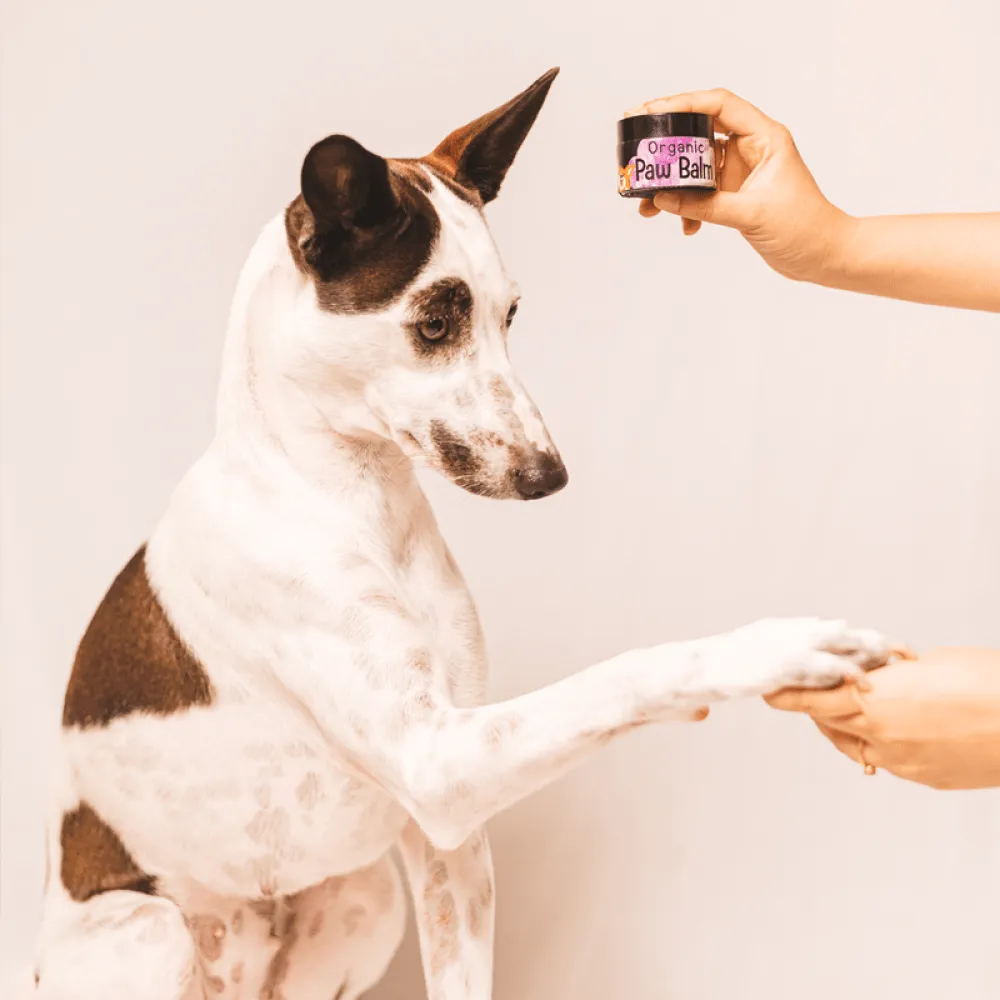 Happy Puppy Organic Paw Balm for Dogs and Cats