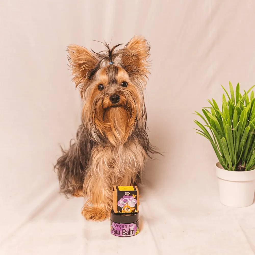 Happy Puppy Organic Paw Balm for Dogs and Cats