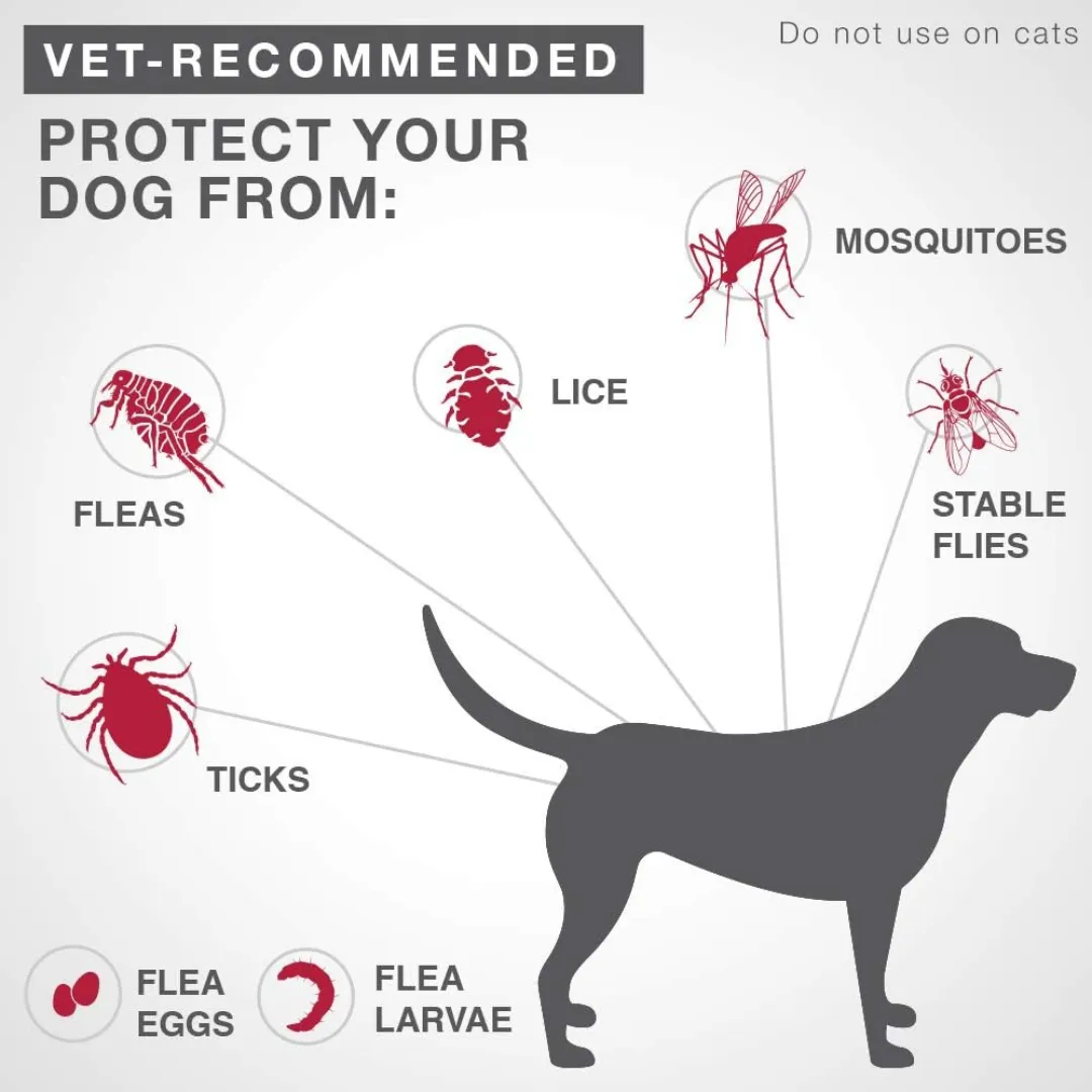 K9 Advantix II Flea and Tick Treatment Dog Large