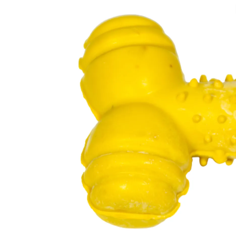 Kanu Pet  Durable Rubber Bone Dog Toy