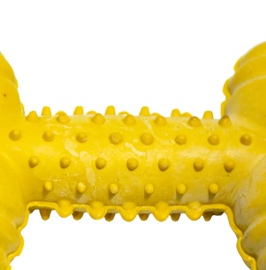 Kanu Pet  Durable Rubber Bone Dog Toy