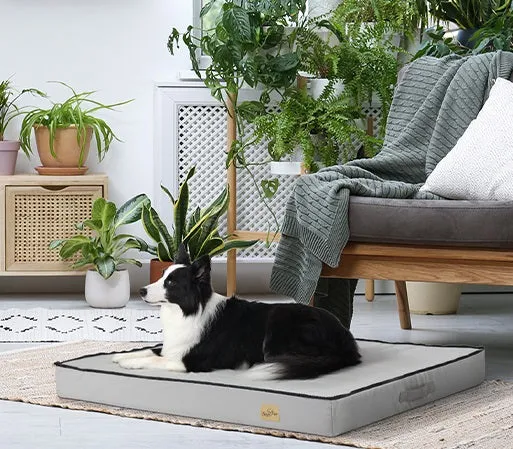 Large Rectangle Orthopedic Dog Pet Bed Supportive Sponge Foam Washable Cover