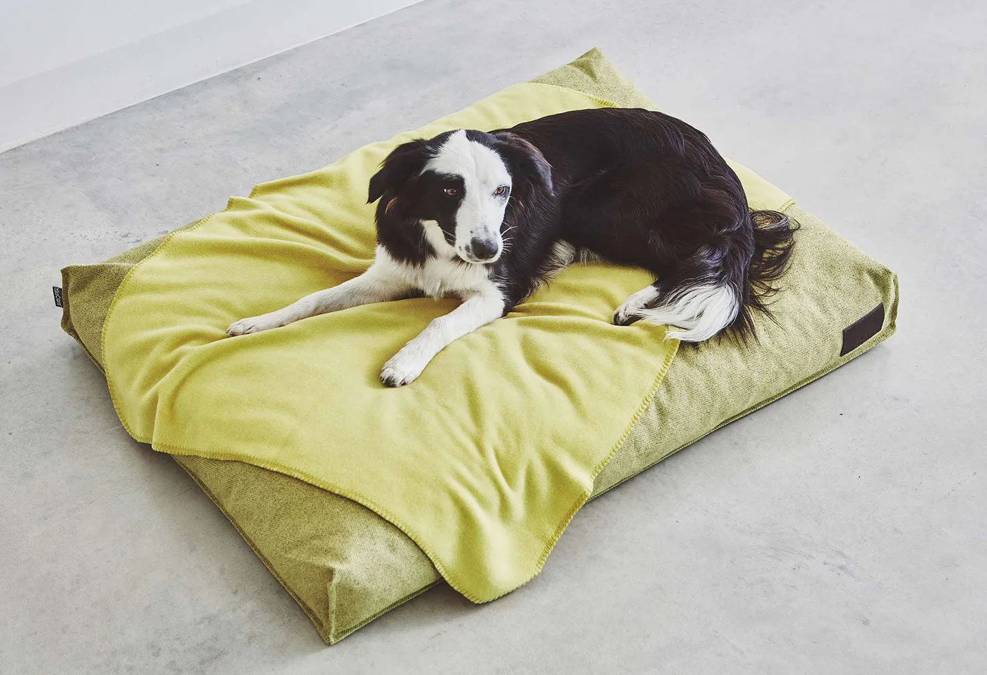 Luxury Orthopedic Dog Bed Available in 3 sizes & 5 Colours