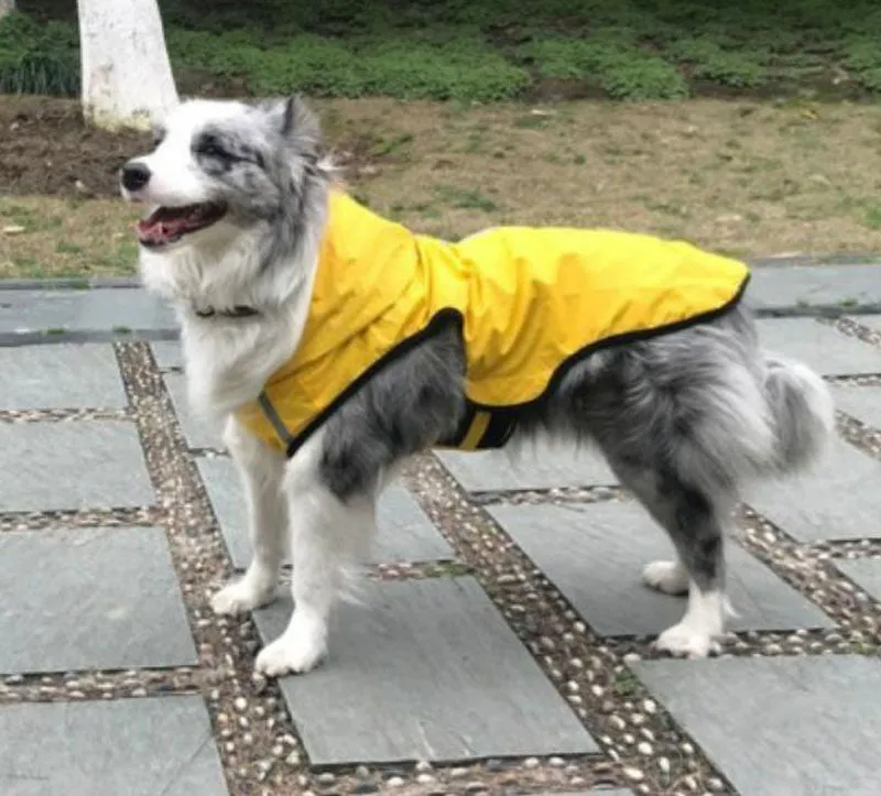 New dog raincoat waterproof vest outdoor pet clothes