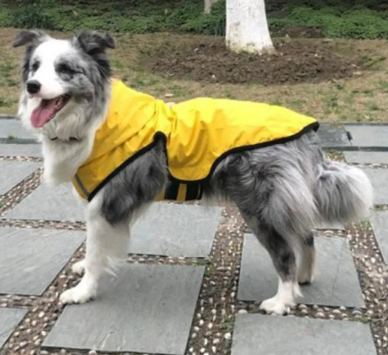 New dog raincoat waterproof vest outdoor pet clothes