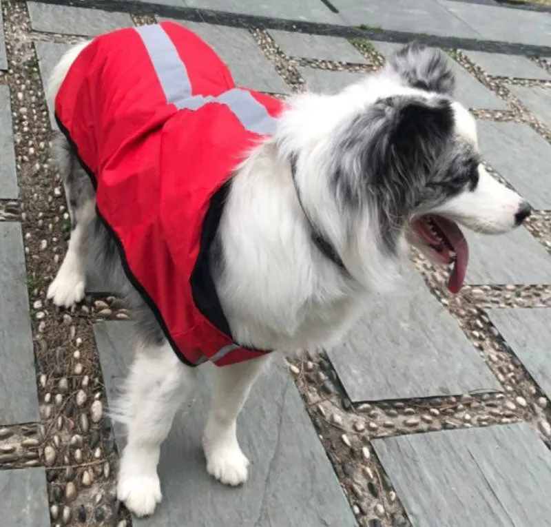 New dog raincoat waterproof vest outdoor pet clothes