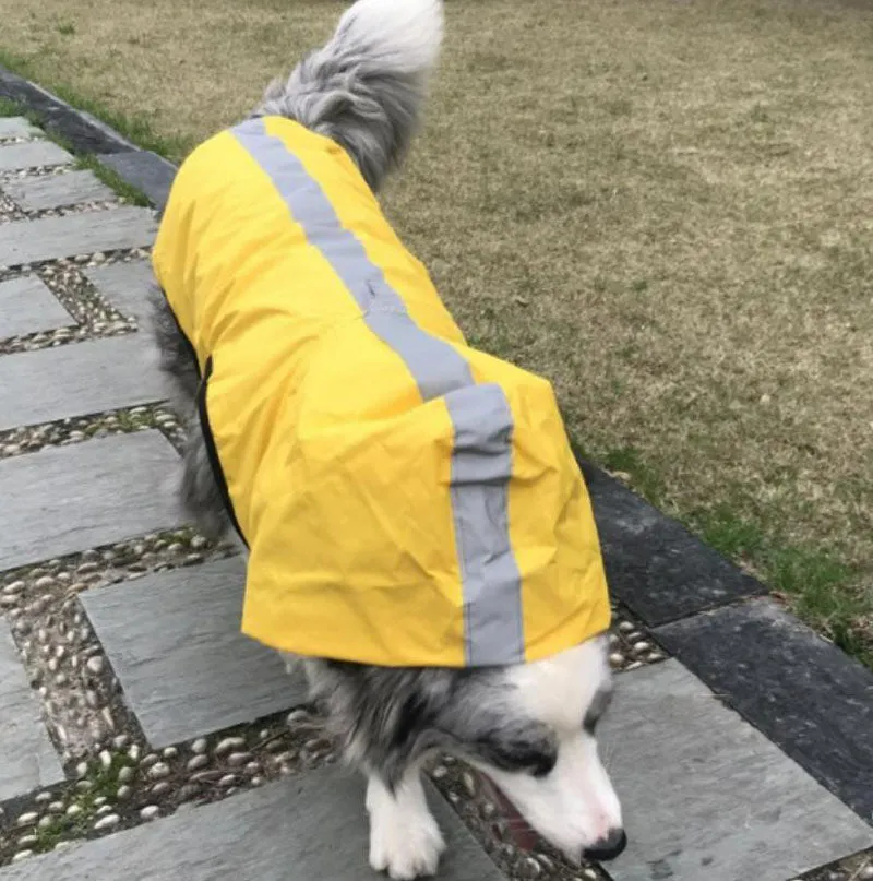 New dog raincoat waterproof vest outdoor pet clothes