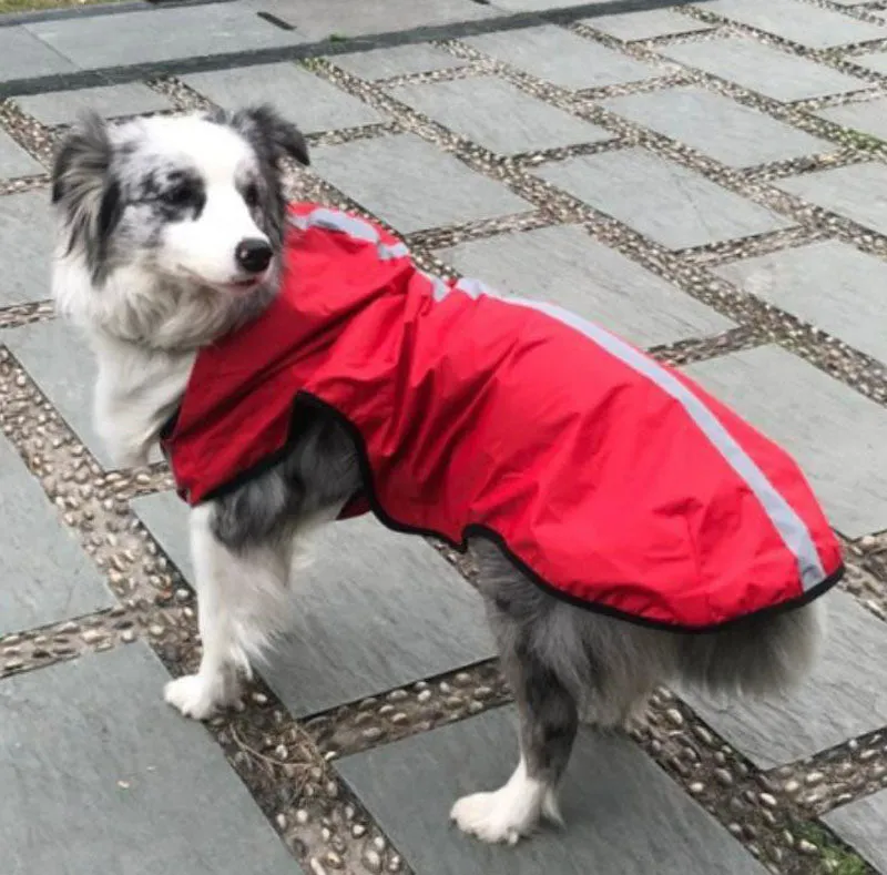 New dog raincoat waterproof vest outdoor pet clothes