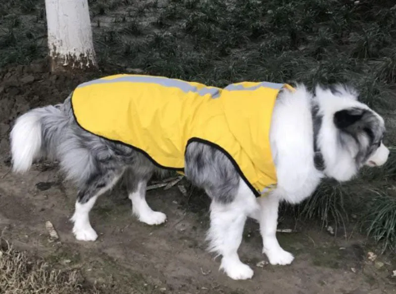 New dog raincoat waterproof vest outdoor pet clothes