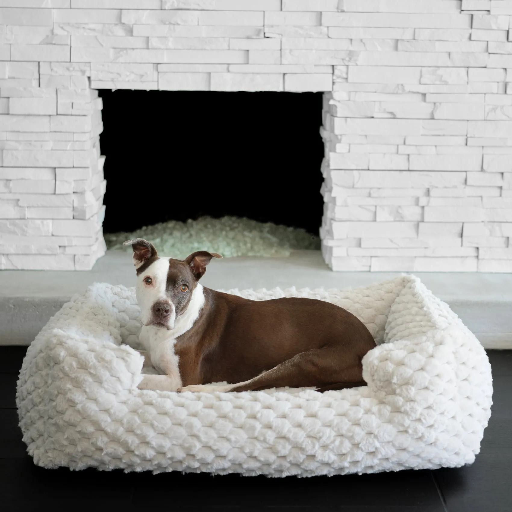 New: Katie Puff® Encore Companion-Pedic® Ortho Lounger Orthopedic Luxury Dog Bed