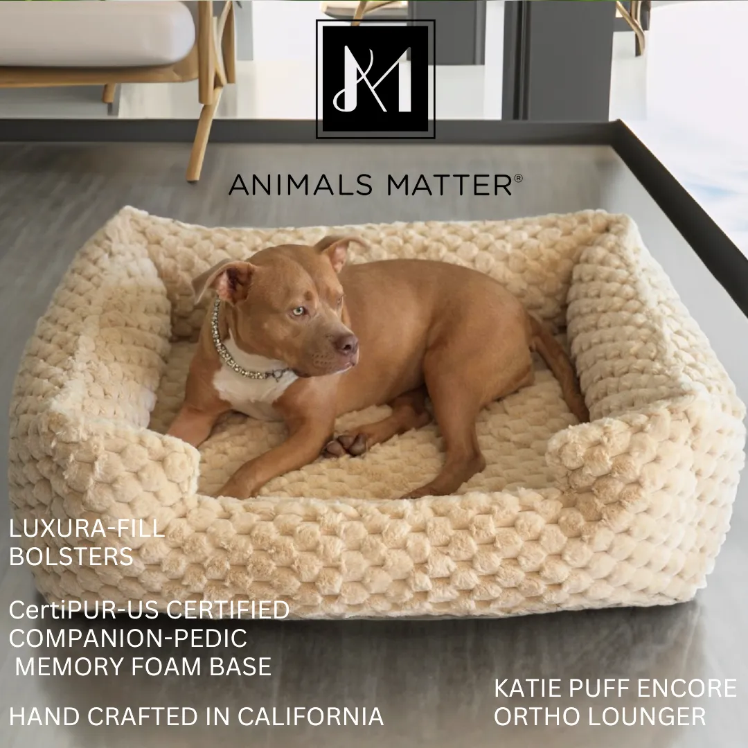 New: Katie Puff® Encore Companion-Pedic® Ortho Lounger Orthopedic Luxury Dog Bed