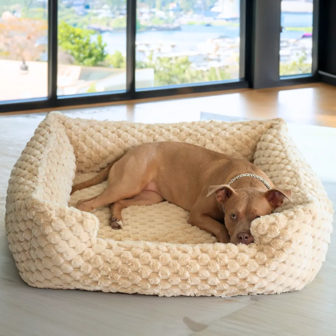 New: Katie Puff® Encore Companion-Pedic® Ortho Lounger Orthopedic Luxury Dog Bed