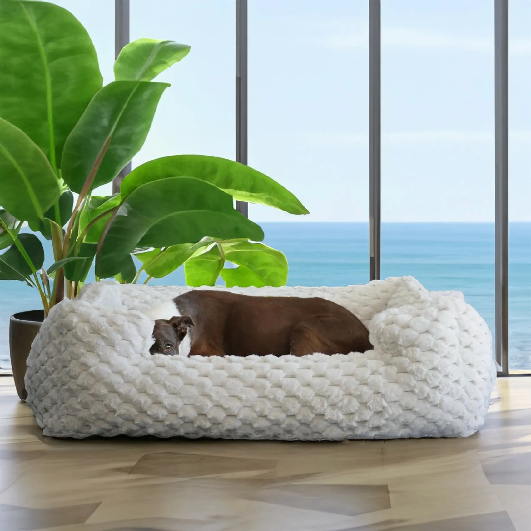 New: Katie Puff® Encore Companion-Pedic® Ortho Lounger Orthopedic Luxury Dog Bed