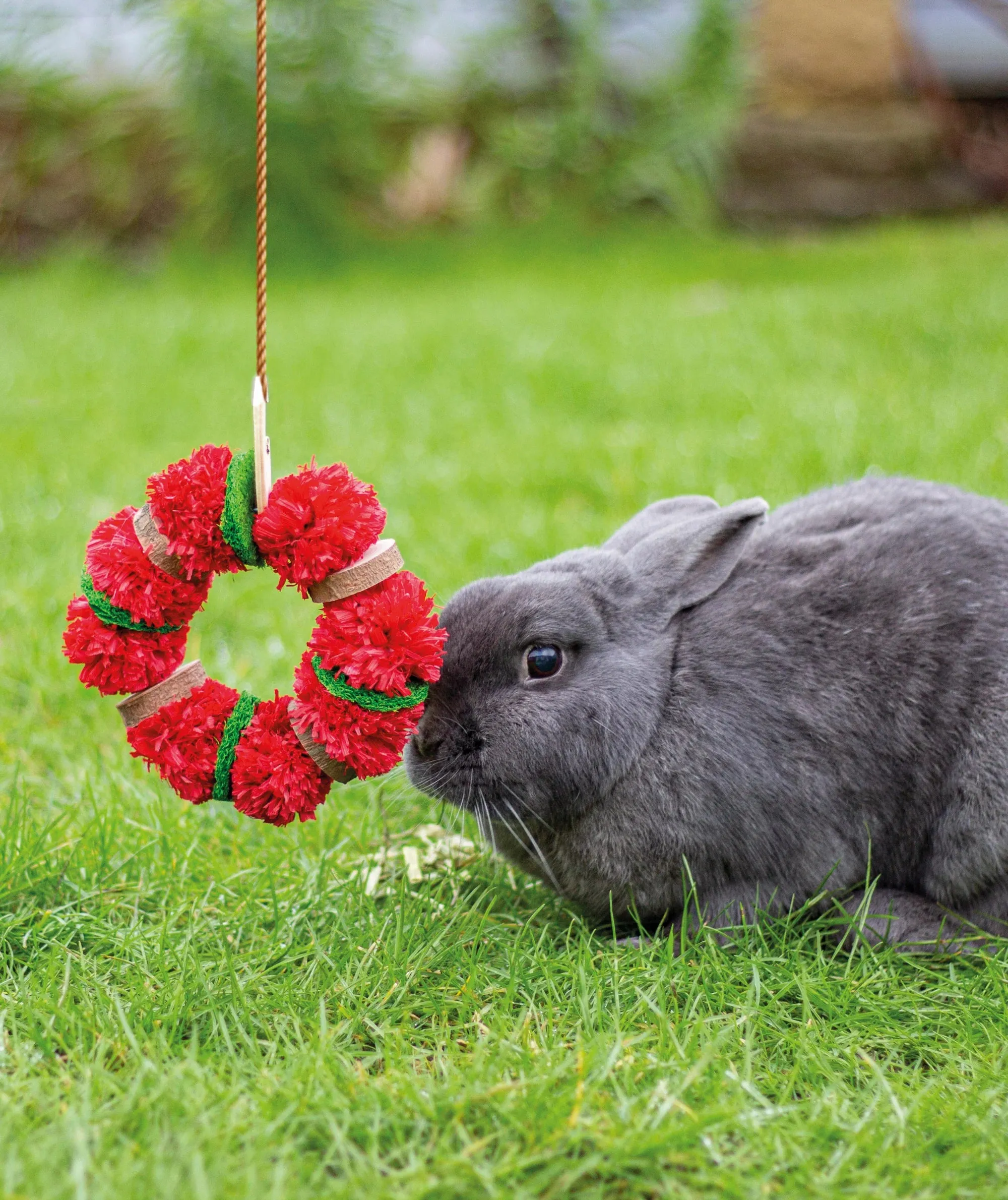 Nibble Christmas Wreath | Festive Small Pet Chew Toy by Cupid & Comet