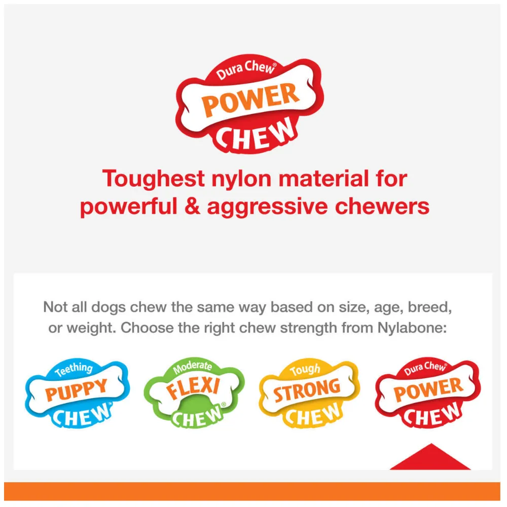 Nylabone Extreme Chew Bone Cheese
