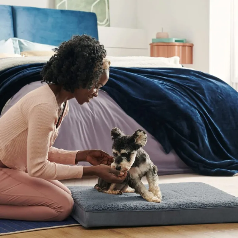 Orthopaedic Dog Beds With Removable Washable Cover