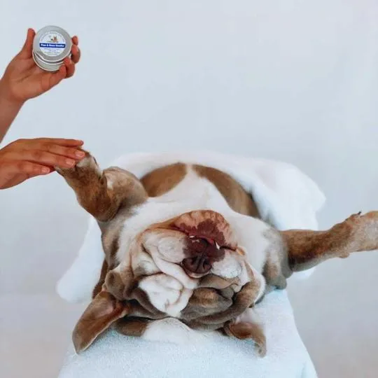Paw & Nose Soothe