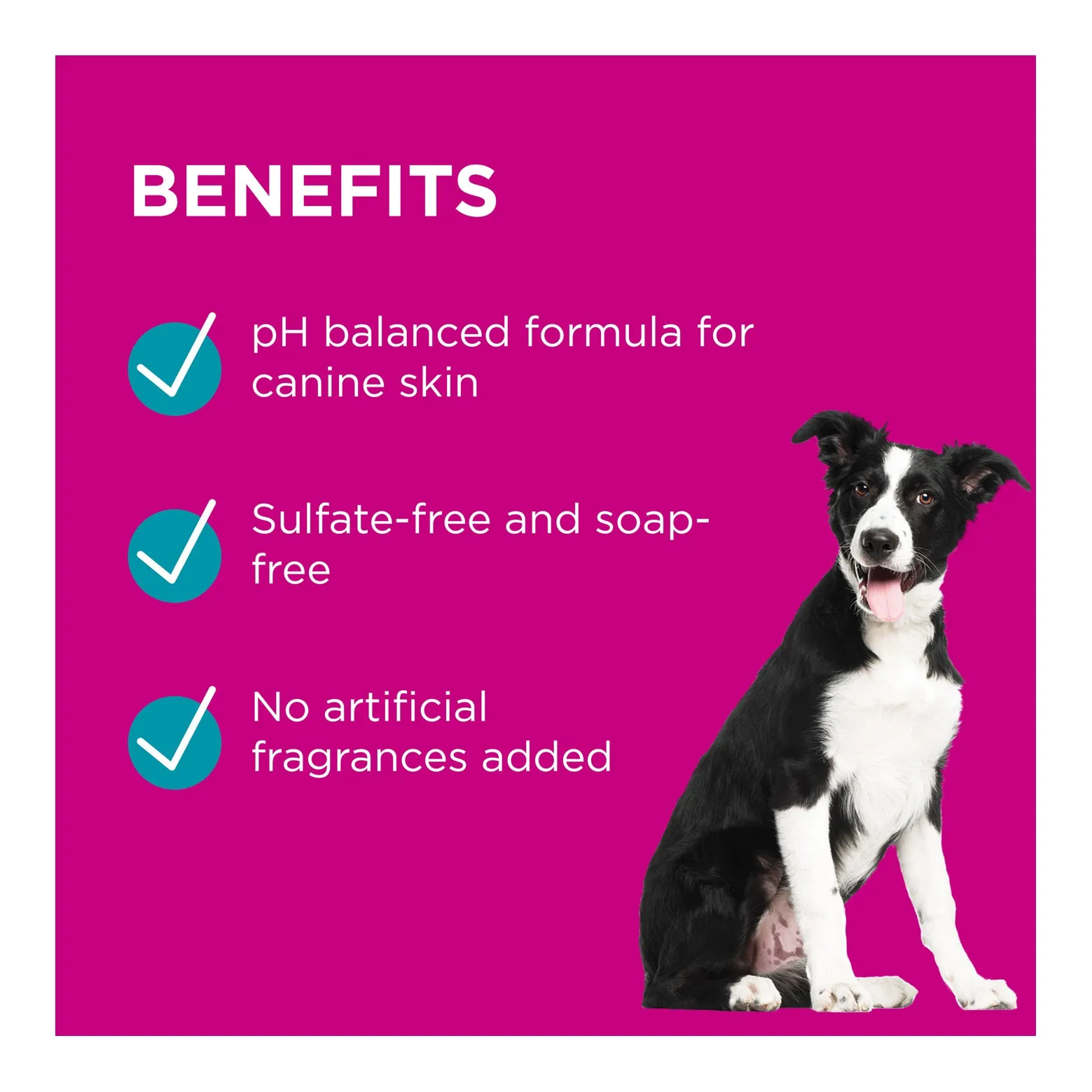 PAW by Blackmores Conditioning & Grooming Spray for Dogs 200mL