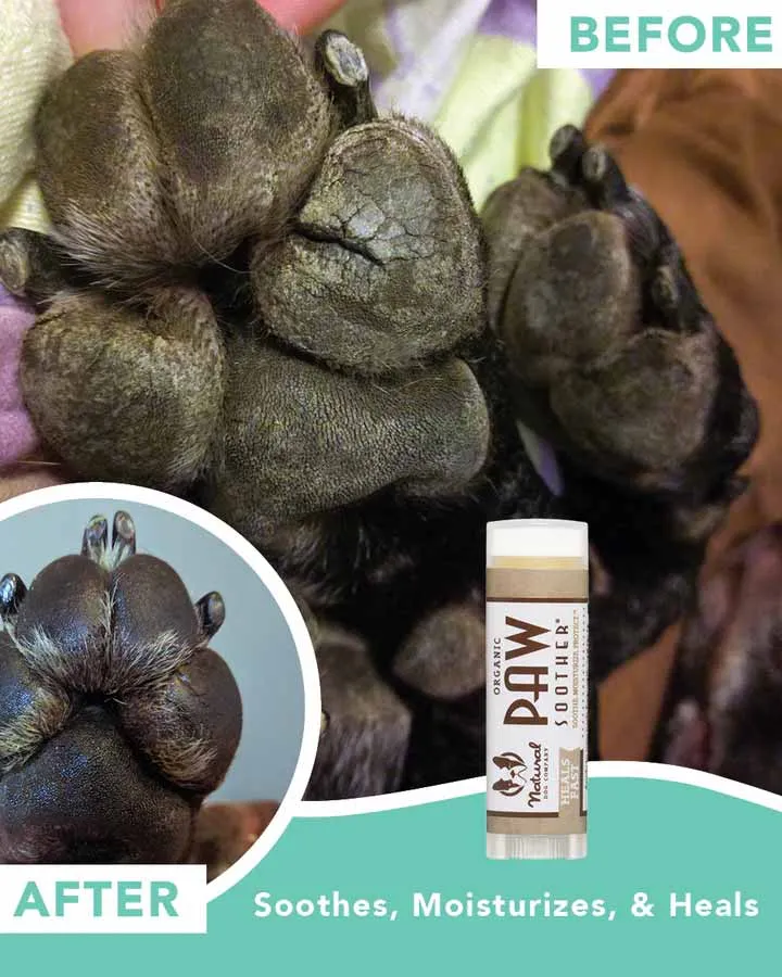 Paw Soother Paw Cream - Travel stick 4.5ml