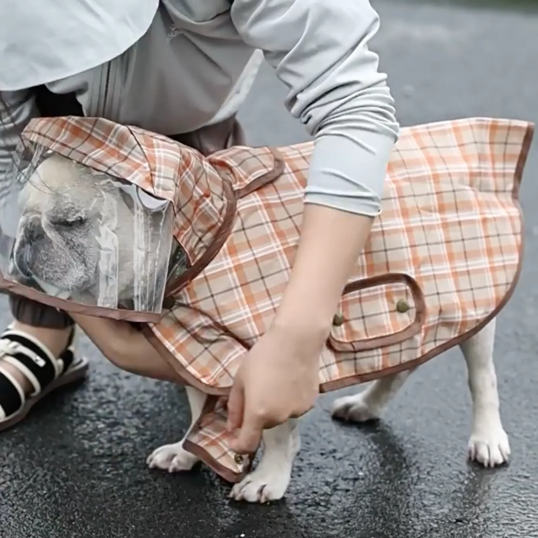 PawDry Premium Frenchie Rain Jacket