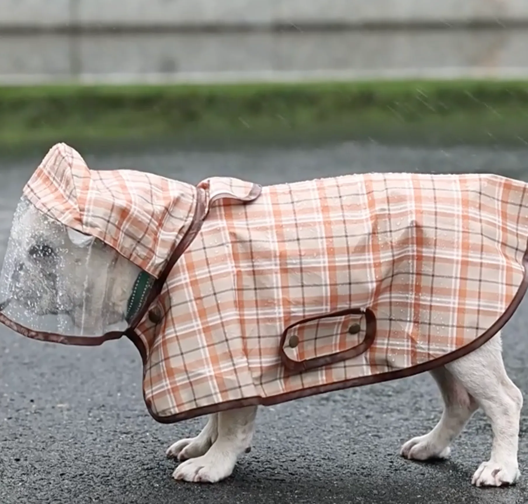 PawDry Premium Frenchie Rain Jacket