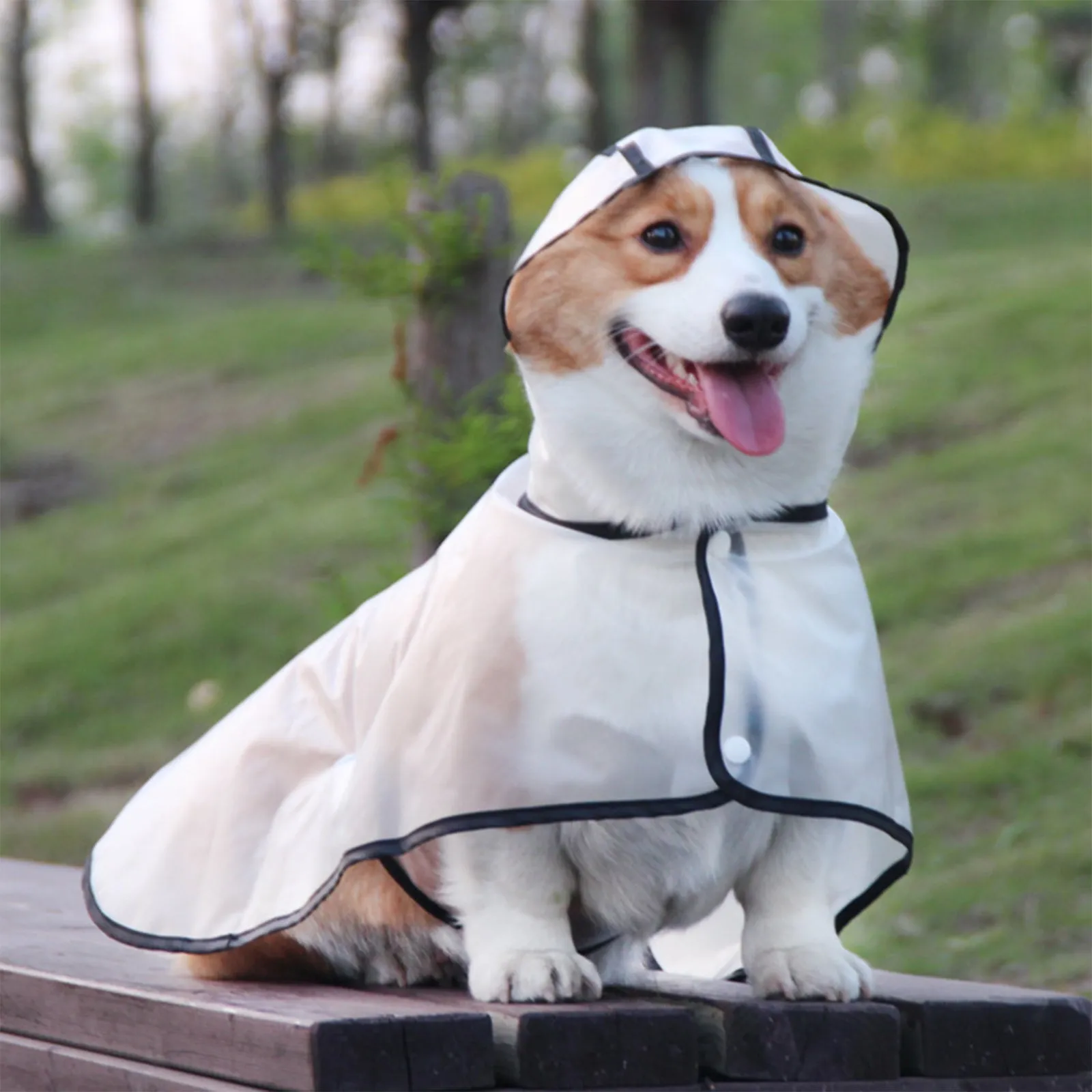 Pawfriends Transparent Raincoat [XL]