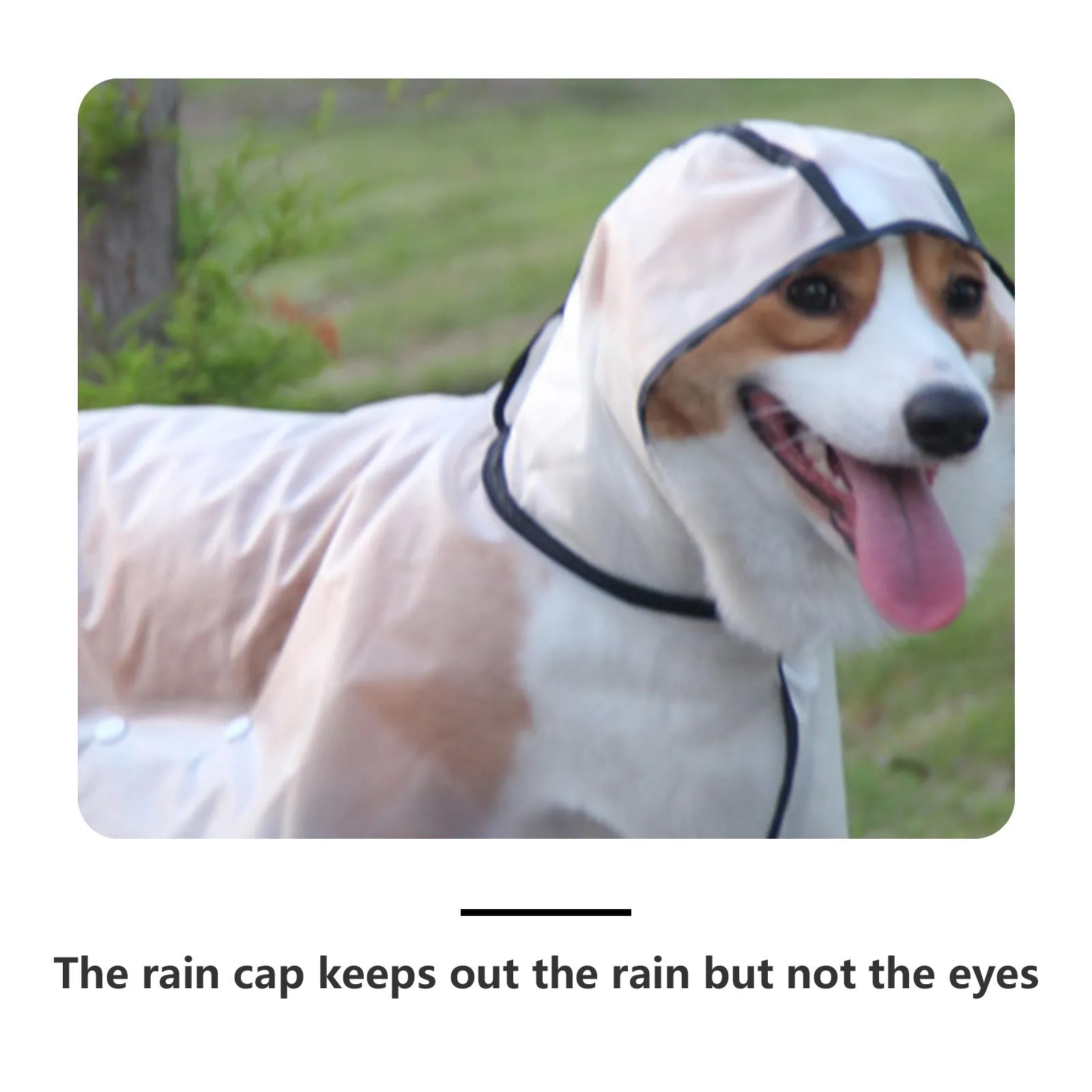 Pawfriends Transparent Raincoat [XL]