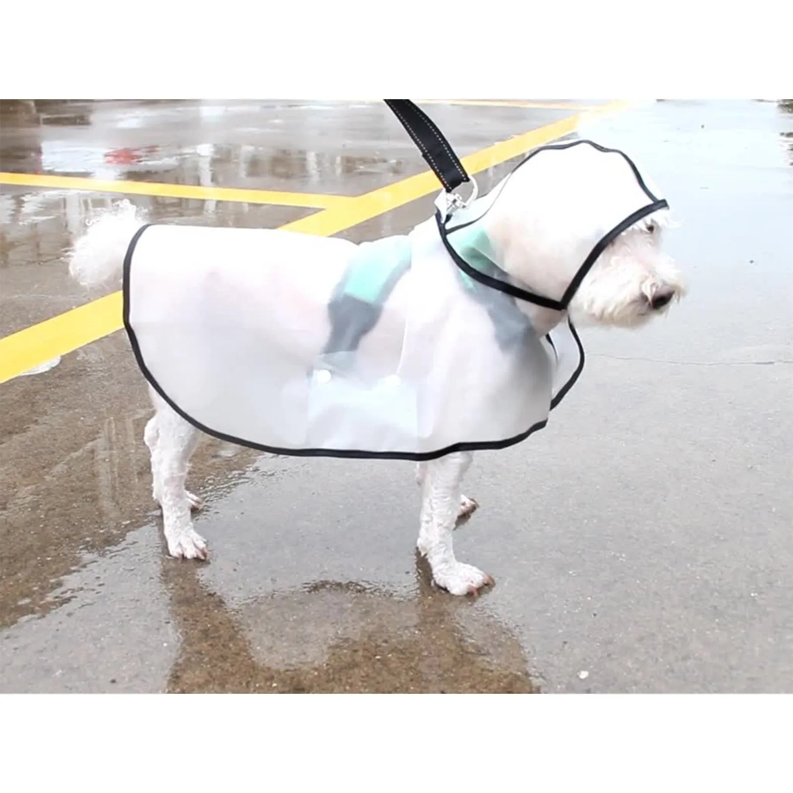 Pawfriends Transparent Raincoat [XL]