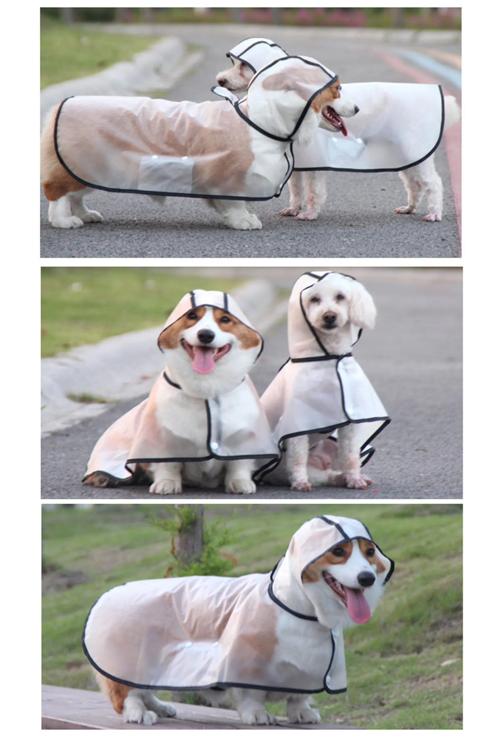 Pawfriends Transparent Raincoat [XXL]