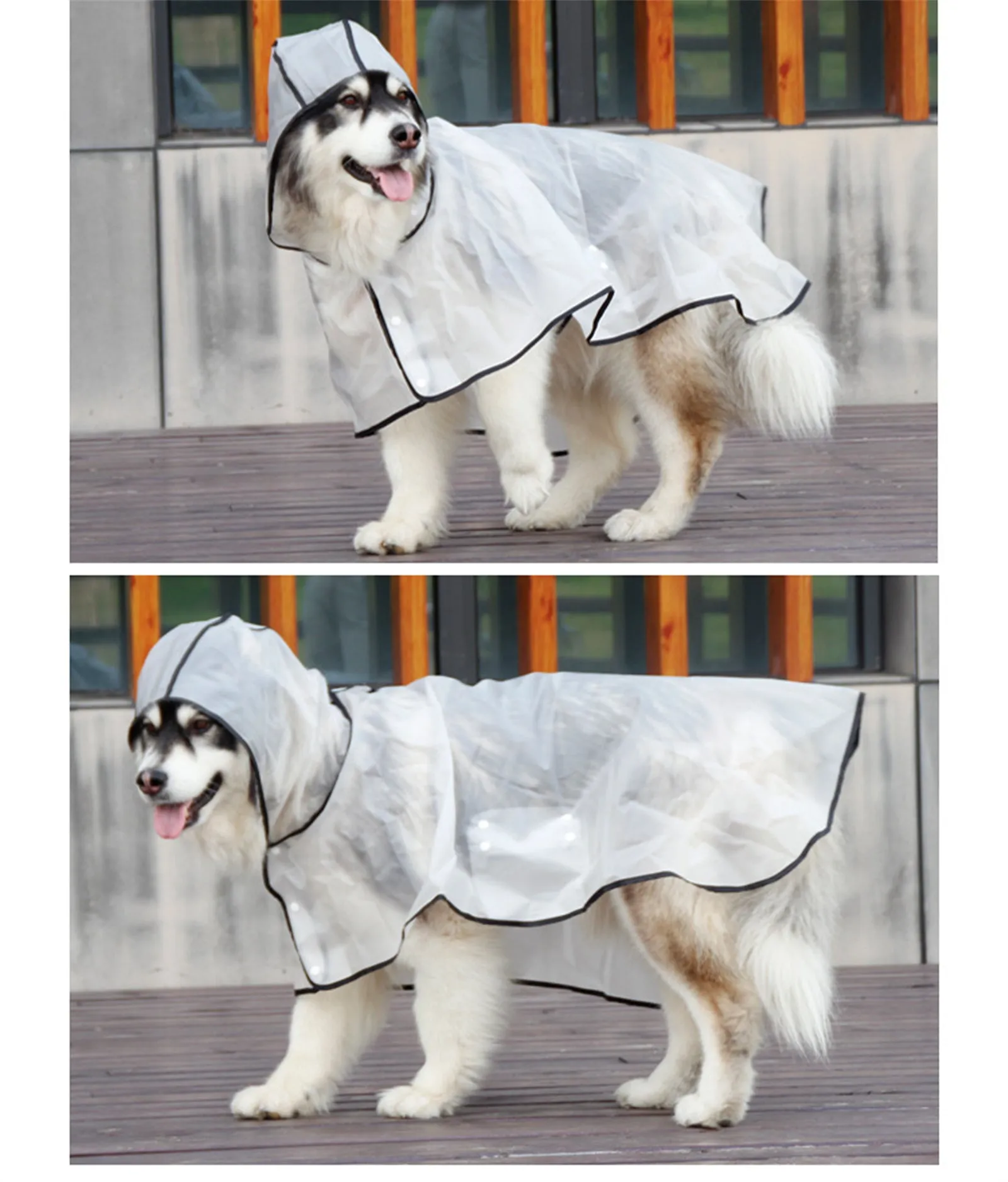 Pawfriends Transparent Raincoat [XXL]