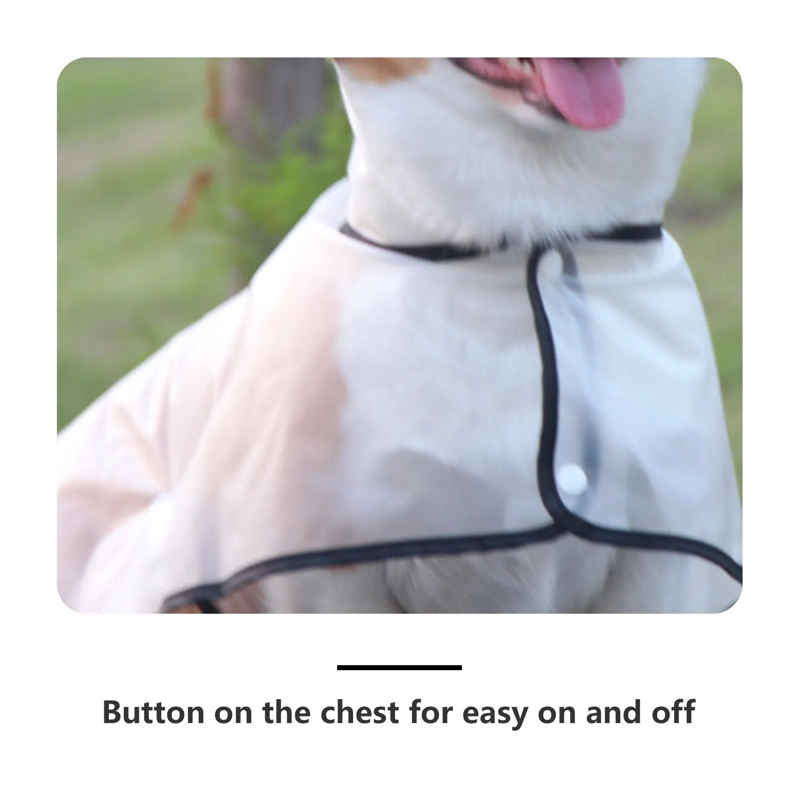 Pawfriends Transparent Raincoat [XXL]